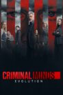 Criminal Minds streamkiste