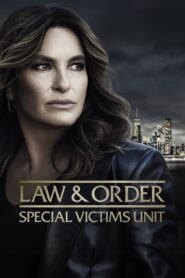 Law & Order: Special Victims Unit streamkiste
