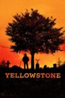 Yellowstone streamkiste